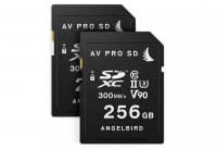 Angelbird MP-EVA1-256SDX2 Angelbird MP-EVA1-256SDX2