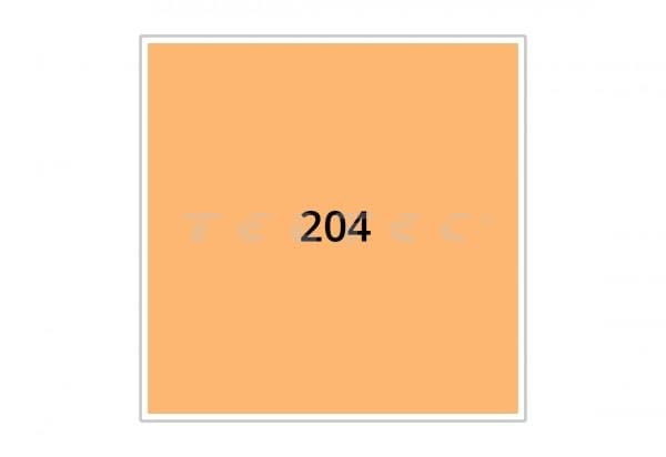 Chris James CJ 204