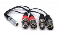 Atomos XLR Breakout Kabel (in/out) Atomos XLR Breakout Kabel (in/out)