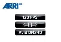 ARRI K2.72067.0 ALEXA Anam.De-Squeeze License Key ARRI K2.72067.0 ALEXA Anam.De-Squeeze License Key